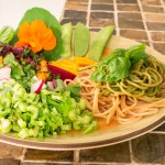 Salade du jardin